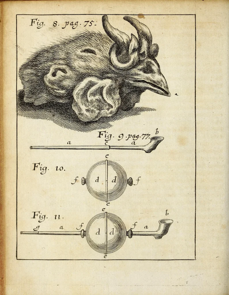 An illustration from Miscellanea Curiosa, sive Ephemiridum Medico-Physicarum Germanicarum Academiae Naturae Curiosorum, 1690, leaf 124