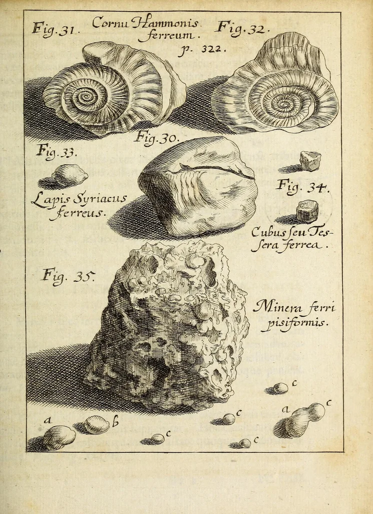 An illustration from Miscellanea Curiosa, sive Ephemiridum Medico-Physicarum Germanicarum Academiae Naturae Curiosorum, 1690, leaf 387