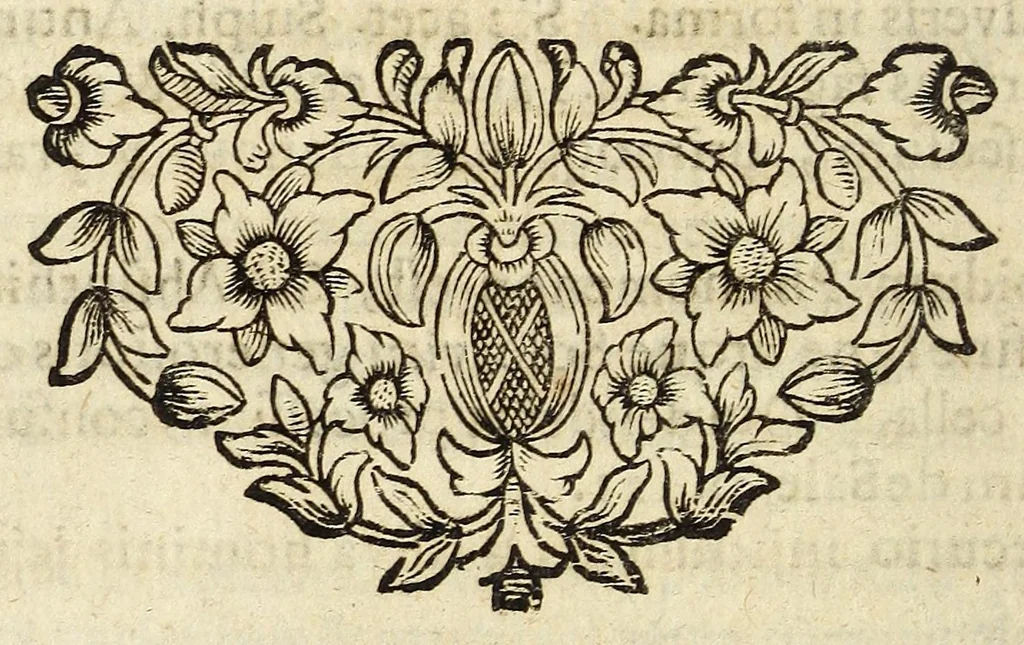 An illustration from Miscellanea Curiosa, sive Ephemiridum Medico-Physicarum Germanicarum Academiae Naturae Curiosorum, 1690, leaf 684