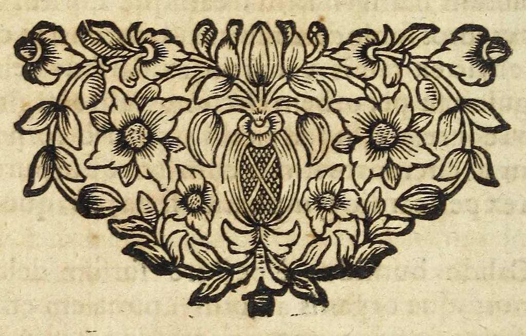 An illustration from Miscellanea Curiosa, sive Ephemiridum Medico-Physicarum Germanicarum Academiae Naturae Curiosorum, 1690, leaf 724