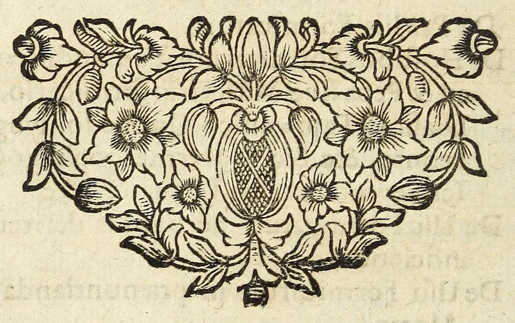 An illustration from Miscellanea Curiosa, sive Ephemiridum Medico-Physicarum Germanicarum Academiae Naturae Curiosorum, 1690, leaf 780