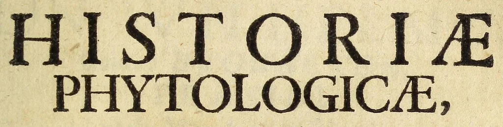 An illustration from Miscellanea Curiosa, sive Ephemiridum Medico-Physicarum Germanicarum Academiae Naturae Curiosorum, 1680, leaf 641