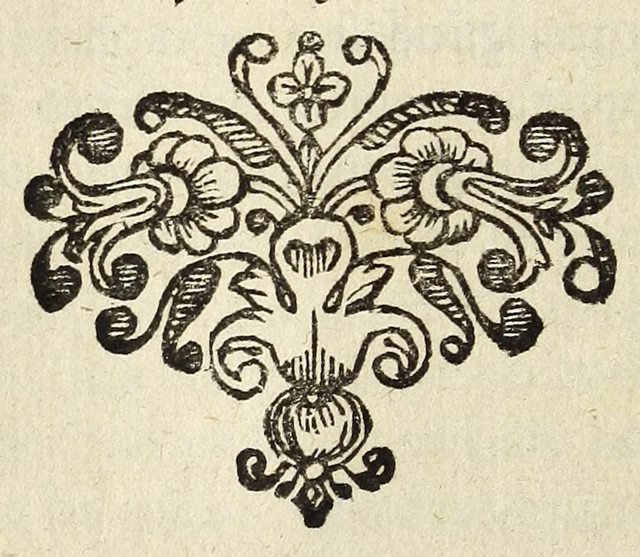 An illustration from Miscellanea Curiosa, sive Ephemiridum Medico-Physicarum Germanicarum Academiae Naturae Curiosorum, 1680, leaf 684