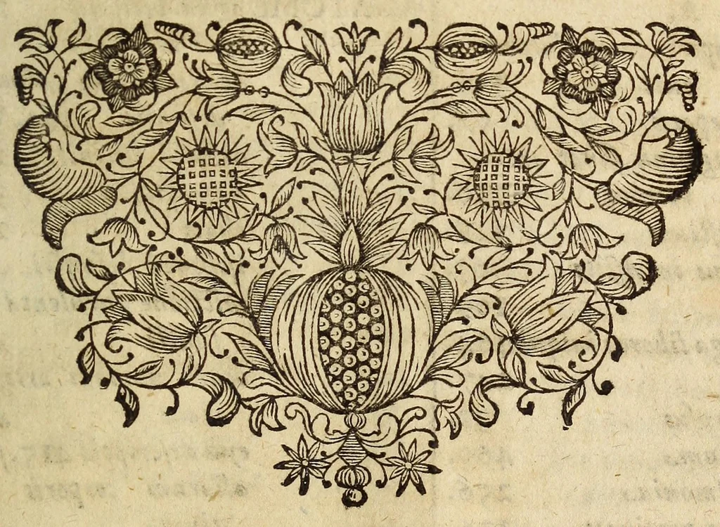 An illustration from Miscellanea Curiosa, sive Ephemiridum Medico-Physicarum Germanicarum Academiae Naturae Curiosorum, 1680, leaf 909