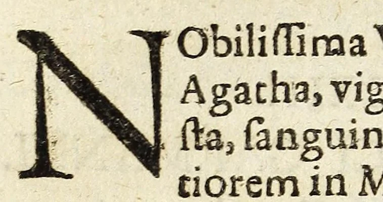 An illustration from Miscellanea Curiosa, sive Ephemiridum Medico-Physicarum Germanicarum Academiae Naturae Curiosorum, 1691, leaf 456