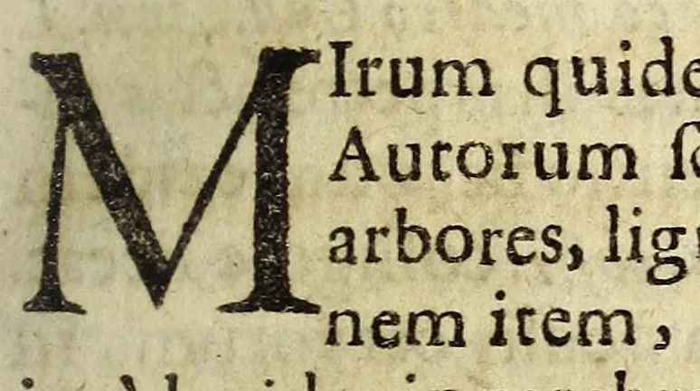 An illustration from Miscellanea Curiosa, sive Ephemiridum Medico-Physicarum Germanicarum Academiae Naturae Curiosorum, 1691, leaf 85