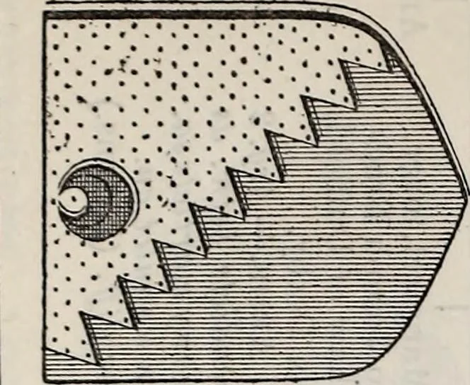 An illustration from Miscellanea genealogica et heraldica :, 1877, leaf 519