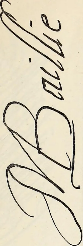 An illustration from Miscellanea genealogica et heraldica :, 1877, leaf 570