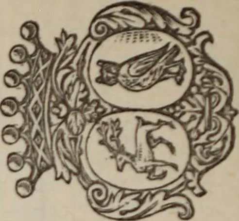 An illustration from Miscellanea genealogica et heraldica :, 1883, leaf 259