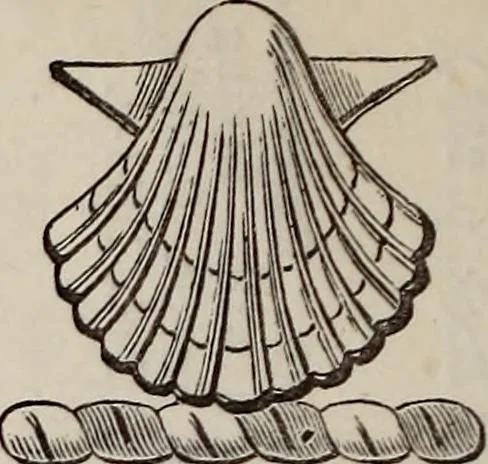 An illustration from Miscellanea genealogica et heraldica :, 1883, leaf 307