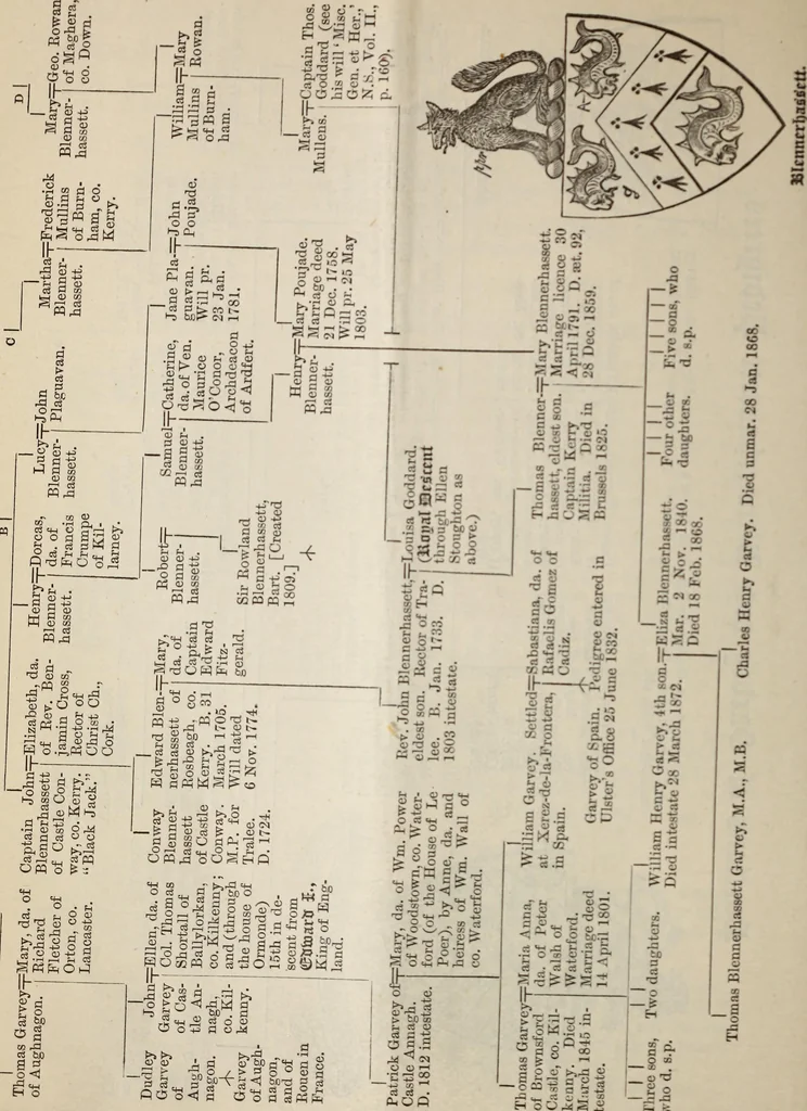 An illustration from Miscellanea genealogica et heraldica :, 1883, leaf 381