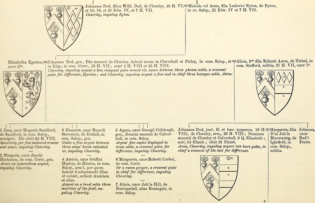 An illustration from Miscellanea genealogica et heraldica :, 1868, leaf 189