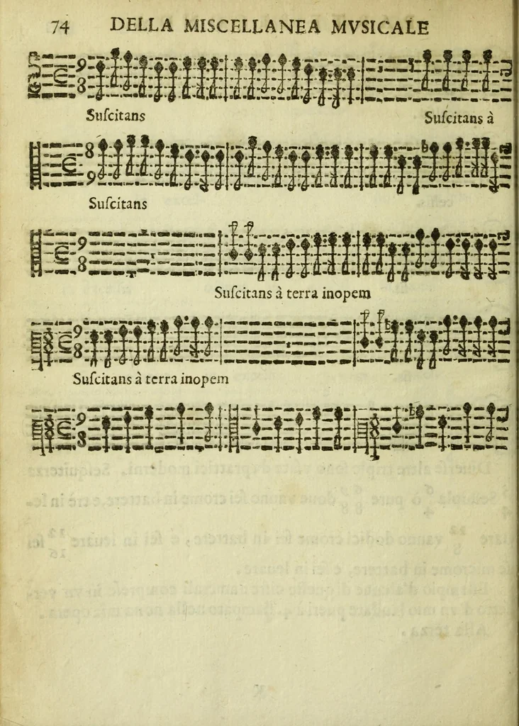 An illustration from Miscellanea mviscale, 1689, leaf 92