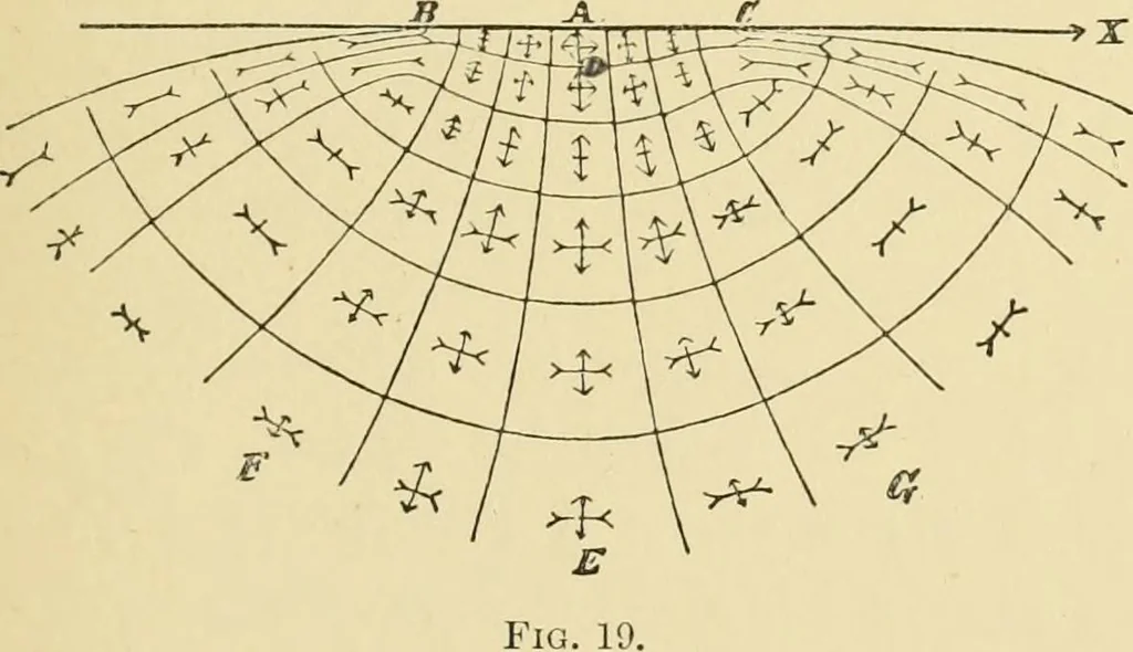 An illustration from Miscellaneous papers, 1896, leaf 206