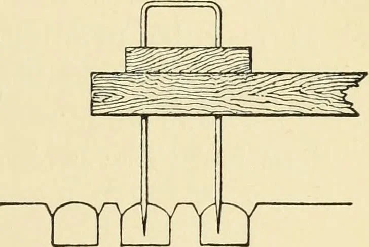 An illustration from Miscellaneous papers, 1896, leaf 46