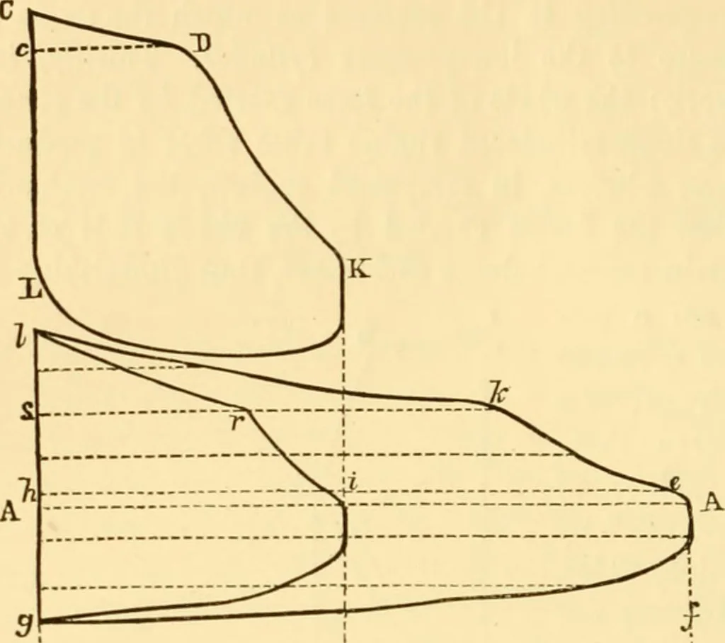 An illustration from Miscellaneous scientific papers:, 1881, leaf 505