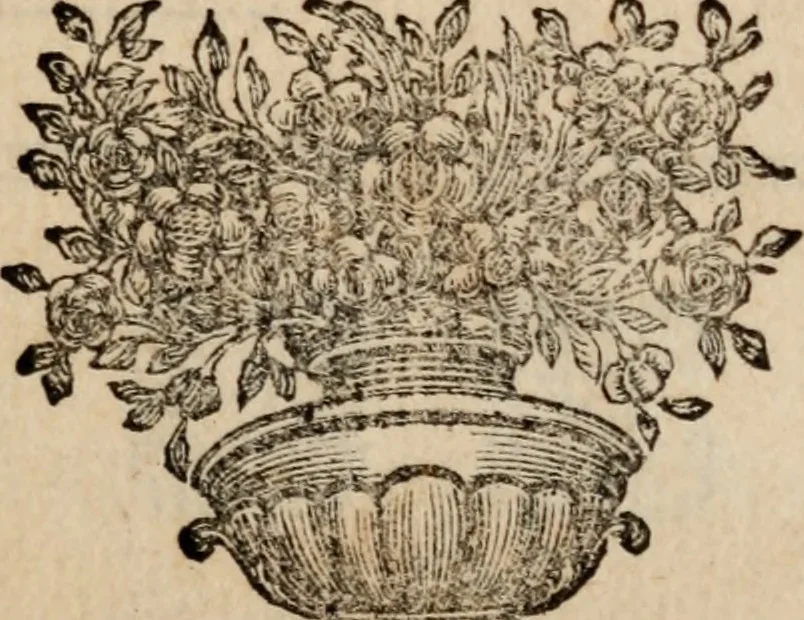 An illustration from Miscellaneous works, in verse and prose ... consisting of such as were never before printed in twelves. With some account of the life and writings of th author, 1735, leaf 246