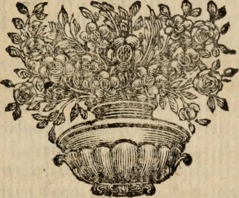 An illustration from Miscellaneous works, in verse and prose ... consisting of such as were never before printed in twelves. With some account of the life and writings of th author, 1735, leaf 14