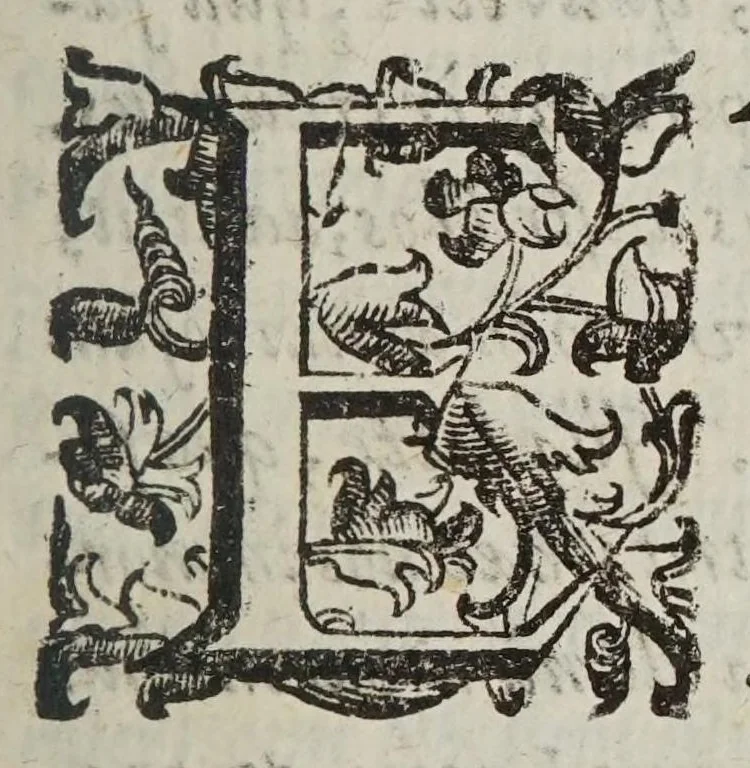 An illustration from Miscellanevm hyperbolicvm, et parabolicvm : in qvo praecipve agitvr de centris grauitatis hyperbolae, partium eiusdem, atque nonnullorum solidorum, de quibus nunquam geometria locuta est : parabola nouiter quadratur dupliciter : ducuntur infinitarum parabolarum tangentes : assignantur maxima inscriptibilia, minimaque circumscriptibilia : infinitis parabolis, conoidibus, ac semifusis parabolicis : aliaque geometrica noua exponuntur scitu digna, 1659, leaf 9