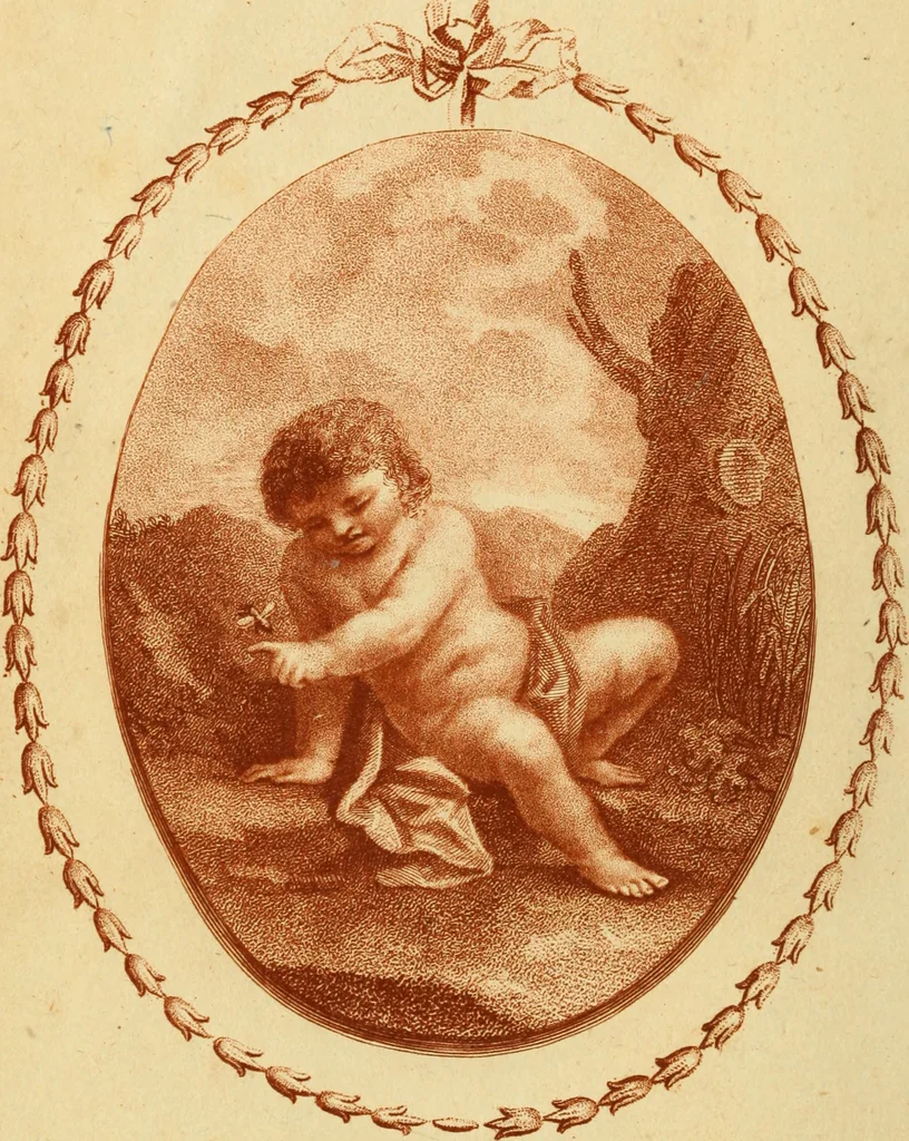 An illustration from Miscellanies relating to the arts, 1785, leaf 365