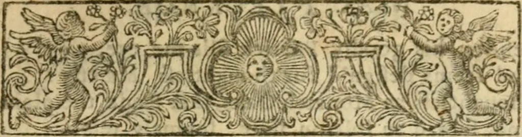 An illustration from Miscellany poems, 1684, leaf 62