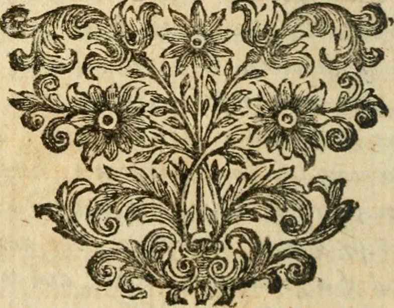 An illustration from Miscellany poems, 1684, leaf 75