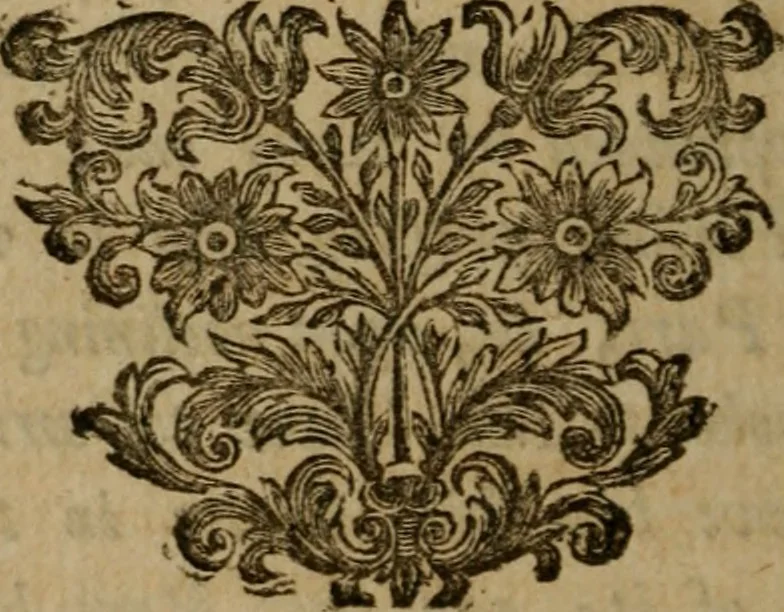 An illustration from Miscellany poems, 1684, leaf 19