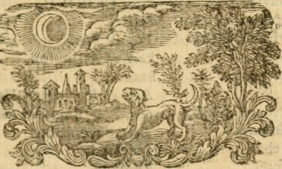 An illustration from Miscellany poems, 1684, leaf 50