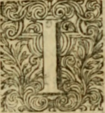 An illustration from Miscellany poems, 1684, leaf 20