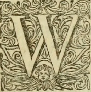 An illustration from Miscellany poems, 1684, leaf 320