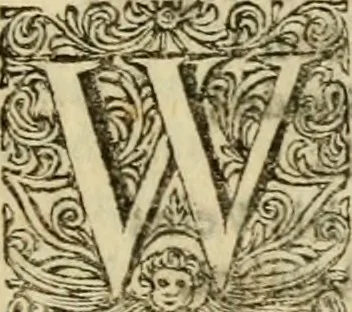 An illustration from Miscellany poems, 1684, leaf 338