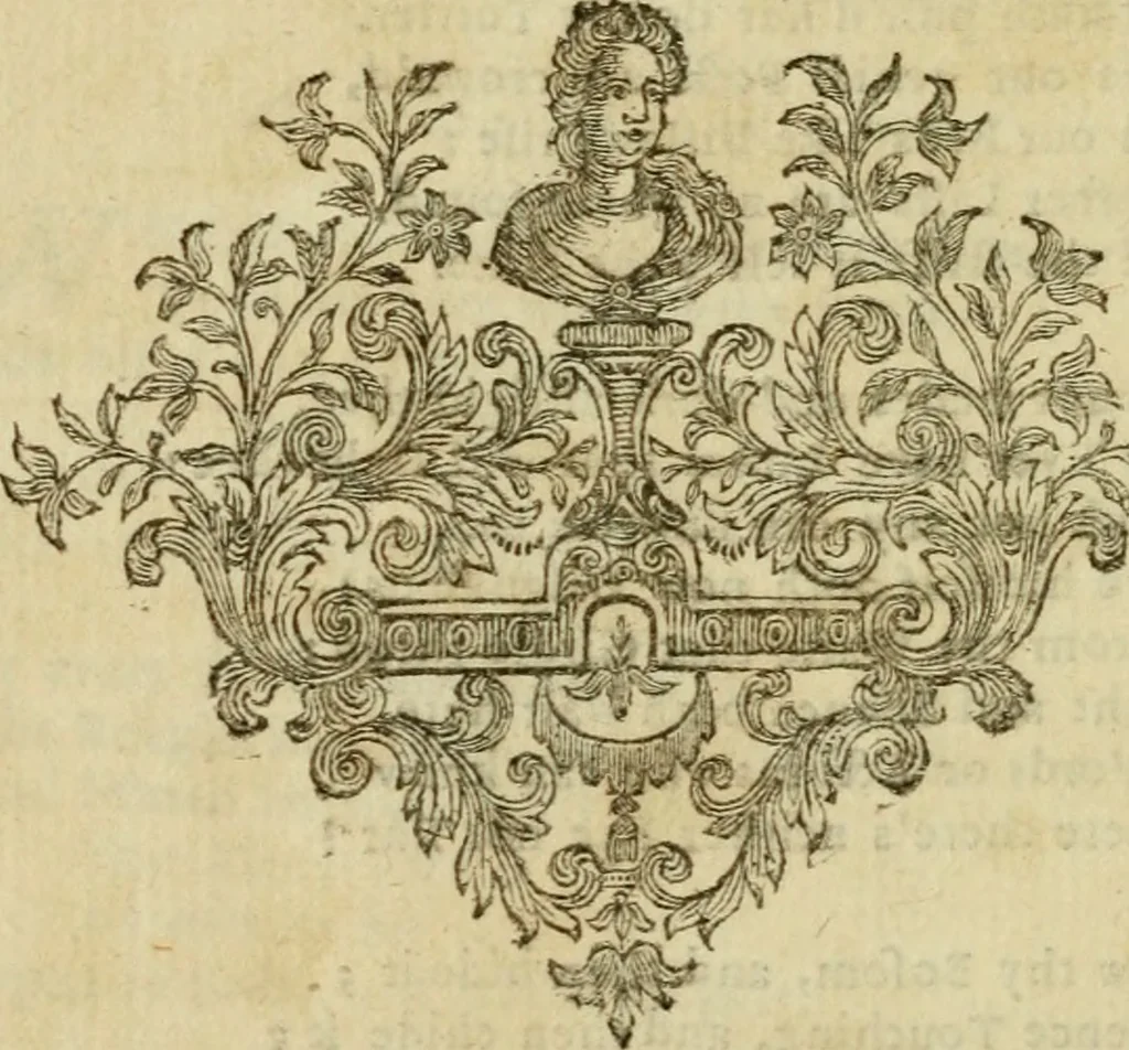 An illustration from Miscellany poems, 1684, leaf 423
