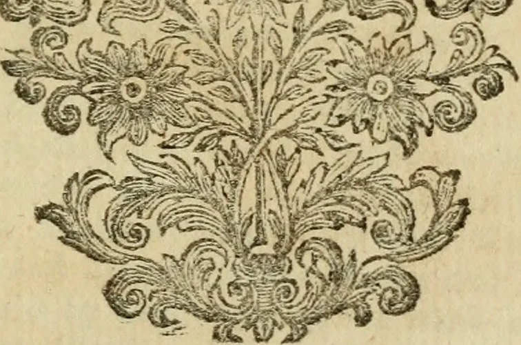 An illustration from Miscellany poems, 1684, leaf 424