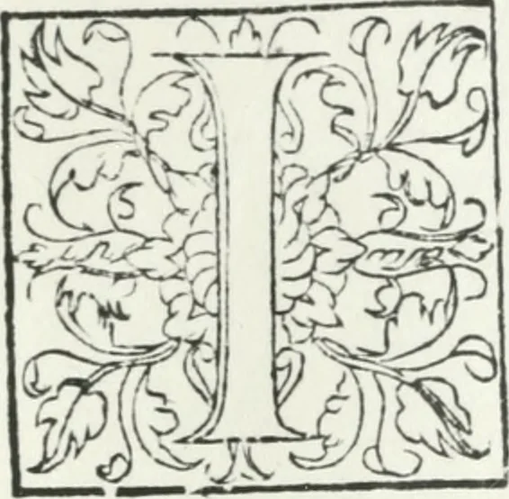 An illustration from The miserie of Flaunders, calamitie of Fraunce, misfortune of Portugall, unquietnes of Irelande, troubles of Scotlande: and the blessed state of Englande, 1579, leaf 33