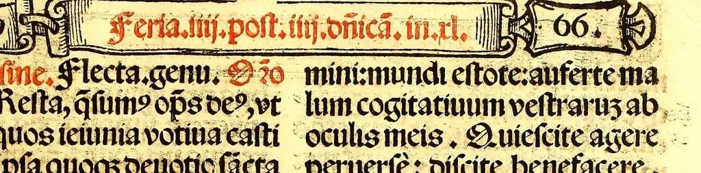 An illustration from Missale romanum ordinarium. : Misale romanum nuper adoptatum co[m]modu[m] quoru[m]cu[m]q[ue] sacerdotu[m] summa diligentia distinctu[m]: atq[ue] ita ex nouo ordine digestu[m] vt apposit[is] introitib[us], gradualib[us], offertorijs [et] co[m]munionibus o[mn]es miss[a]e sint in suis loc[is] integre. In quo etia[m] adiunct[a]e sunt mult[a]e miss[a]e uou[a]e [sic], [et] alia plurima sup[er]addita, q[uae] in missalib[us] hacten[us] i[m]p[re]ssis d[e]sideraba[n]tur. 1561, 1561, leaf 111