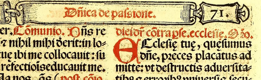 An illustration from Missale romanum ordinarium. : Misale romanum nuper adoptatum co[m]modu[m] quoru[m]cu[m]q[ue] sacerdotu[m] summa diligentia distinctu[m]: atq[ue] ita ex nouo ordine digestu[m] vt apposit[is] introitib[us], gradualib[us], offertorijs [et] co[m]munionibus o[mn]es miss[a]e sint in suis loc[is] integre. In quo etia[m] adiunct[a]e sunt mult[a]e miss[a]e uou[a]e [sic], [et] alia plurima sup[er]addita, q[uae] in missalib[us] hacten[us] i[m]p[re]ssis d[e]sideraba[n]tur. 1561, 1561, leaf 121
