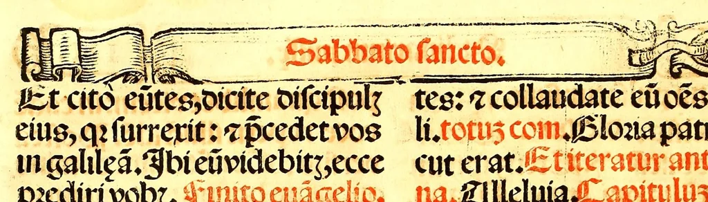 An illustration from Missale romanum ordinarium. : Misale romanum nuper adoptatum co[m]modu[m] quoru[m]cu[m]q[ue] sacerdotu[m] summa diligentia distinctu[m]: atq[ue] ita ex nouo ordine digestu[m] vt apposit[is] introitib[us], gradualib[us], offertorijs [et] co[m]munionibus o[mn]es miss[a]e sint in suis loc[is] integre. In quo etia[m] adiunct[a]e sunt mult[a]e miss[a]e uou[a]e [sic], [et] alia plurima sup[er]addita, q[uae] in missalib[us] hacten[us] i[m]p[re]ssis d[e]sideraba[n]tur. 1561, 1561, leaf 222
