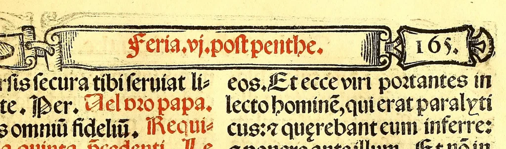 An illustration from Missale romanum ordinarium. : Misale romanum nuper adoptatum co[m]modu[m] quoru[m]cu[m]q[ue] sacerdotu[m] summa diligentia distinctu[m]: atq[ue] ita ex nouo ordine digestu[m] vt apposit[is] introitib[us], gradualib[us], offertorijs [et] co[m]munionibus o[mn]es miss[a]e sint in suis loc[is] integre. In quo etia[m] adiunct[a]e sunt mult[a]e miss[a]e uou[a]e [sic], [et] alia plurima sup[er]addita, q[uae] in missalib[us] hacten[us] i[m]p[re]ssis d[e]sideraba[n]tur. 1561, 1561, leaf 309