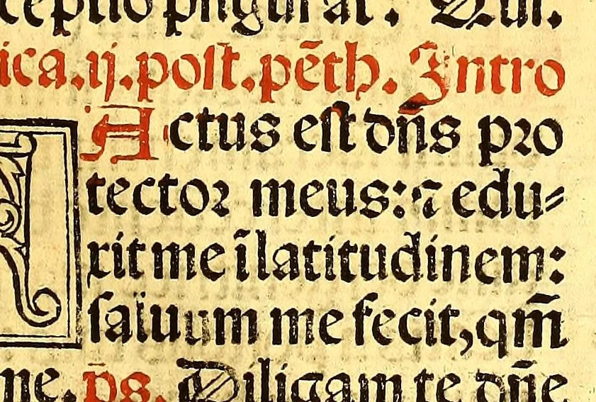 An illustration from Missale romanum ordinarium. : Misale romanum nuper adoptatum co[m]modu[m] quoru[m]cu[m]q[ue] sacerdotu[m] summa diligentia distinctu[m]: atq[ue] ita ex nouo ordine digestu[m] vt apposit[is] introitib[us], gradualib[us], offertorijs [et] co[m]munionibus o[mn]es miss[a]e sint in suis loc[is] integre. In quo etia[m] adiunct[a]e sunt mult[a]e miss[a]e uou[a]e [sic], [et] alia plurima sup[er]addita, q[uae] in missalib[us] hacten[us] i[m]p[re]ssis d[e]sideraba[n]tur. 1561, 1561, leaf 319