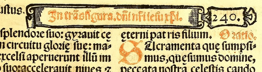 An illustration from Missale romanum ordinarium. : Misale romanum nuper adoptatum co[m]modu[m] quoru[m]cu[m]q[ue] sacerdotu[m] summa diligentia distinctu[m]: atq[ue] ita ex nouo ordine digestu[m] vt apposit[is] introitib[us], gradualib[us], offertorijs [et] co[m]munionibus o[mn]es miss[a]e sint in suis loc[is] integre. In quo etia[m] adiunct[a]e sunt mult[a]e miss[a]e uou[a]e [sic], [et] alia plurima sup[er]addita, q[uae] in missalib[us] hacten[us] i[m]p[re]ssis d[e]sideraba[n]tur. 1561, 1561, leaf 459