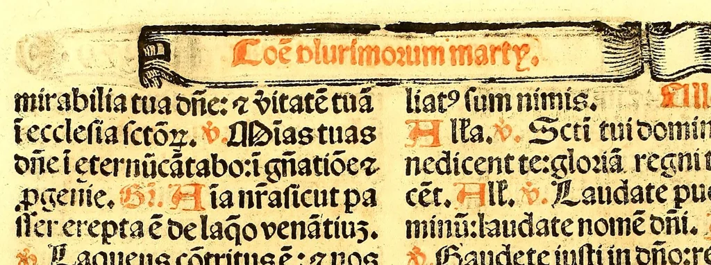 An illustration from Missale romanum ordinarium. : Misale romanum nuper adoptatum co[m]modu[m] quoru[m]cu[m]q[ue] sacerdotu[m] summa diligentia distinctu[m]: atq[ue] ita ex nouo ordine digestu[m] vt apposit[is] introitib[us], gradualib[us], offertorijs [et] co[m]munionibus o[mn]es miss[a]e sint in suis loc[is] integre. In quo etia[m] adiunct[a]e sunt mult[a]e miss[a]e uou[a]e [sic], [et] alia plurima sup[er]addita, q[uae] in missalib[us] hacten[us] i[m]p[re]ssis d[e]sideraba[n]tur. 1561, 1561, leaf 538