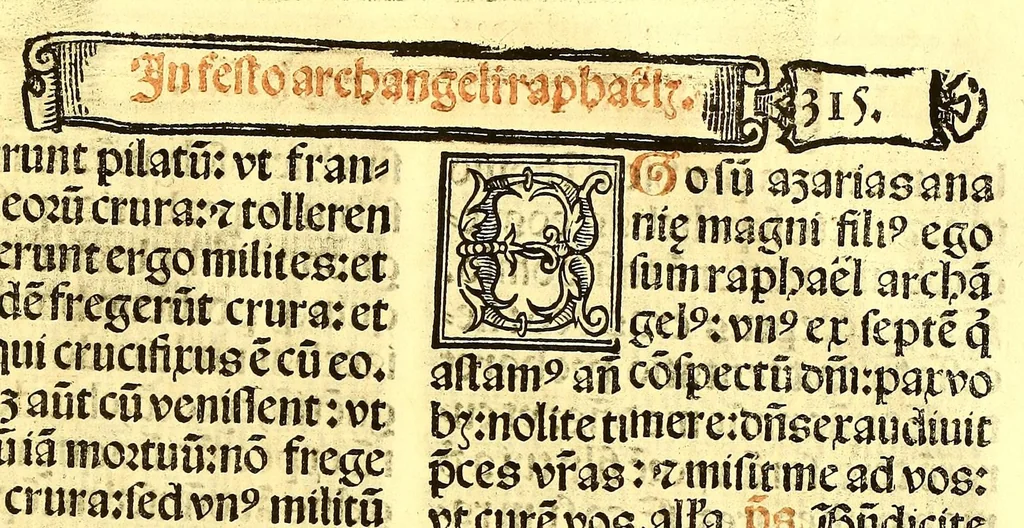 An illustration from Missale romanum ordinarium. : Misale romanum nuper adoptatum co[m]modu[m] quoru[m]cu[m]q[ue] sacerdotu[m] summa diligentia distinctu[m]: atq[ue] ita ex nouo ordine digestu[m] vt apposit[is] introitib[us], gradualib[us], offertorijs [et] co[m]munionibus o[mn]es miss[a]e sint in suis loc[is] integre. In quo etia[m] adiunct[a]e sunt mult[a]e miss[a]e uou[a]e [sic], [et] alia plurima sup[er]addita, q[uae] in missalib[us] hacten[us] i[m]p[re]ssis d[e]sideraba[n]tur. 1561, 1561, leaf 609
