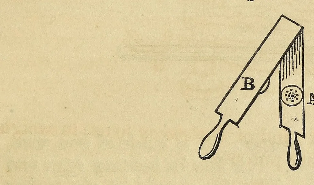 An illustration from Miss Beecher's domestic receipt book; designed as a supplement to her Treatise on domestic economy, 1862, leaf 283