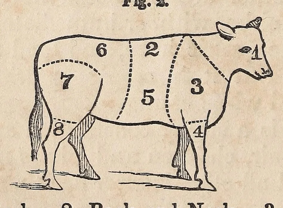 An illustration from Miss Beecher's domestic receipt book; designed as a supplement to her Treatise on domestic economy, 1862, leaf 48