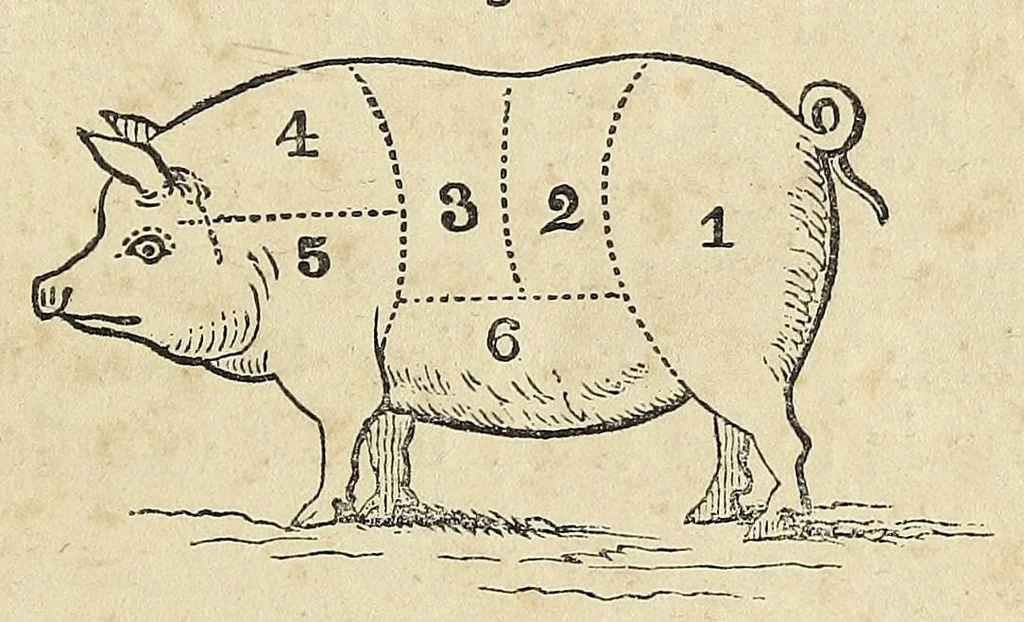 An illustration from Miss Beecher's domestic receipt book; designed as a supplement to her Treatise on domestic economy, 1862, leaf 49