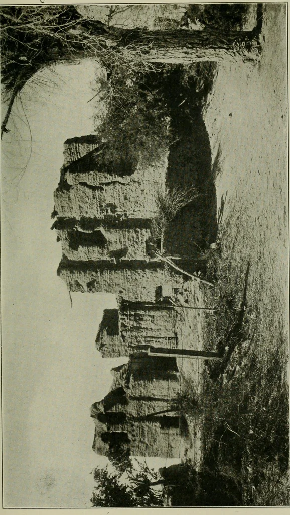 An illustration from Mission architecture as exemplified in San Xavier del Bac; including a complete list of the missions in the South-west; also a bibliography of the manuscripts and works pertaining to the subject, 1919, leaf 88