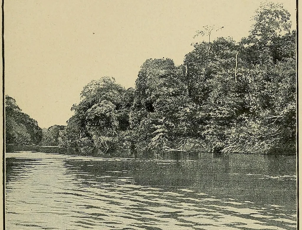 An illustration from Mission Hostains-d'Ollone, 1898-1900 : de la Côte d'Ivoire au Soudan et à la Guinée, 1901, leaf 121