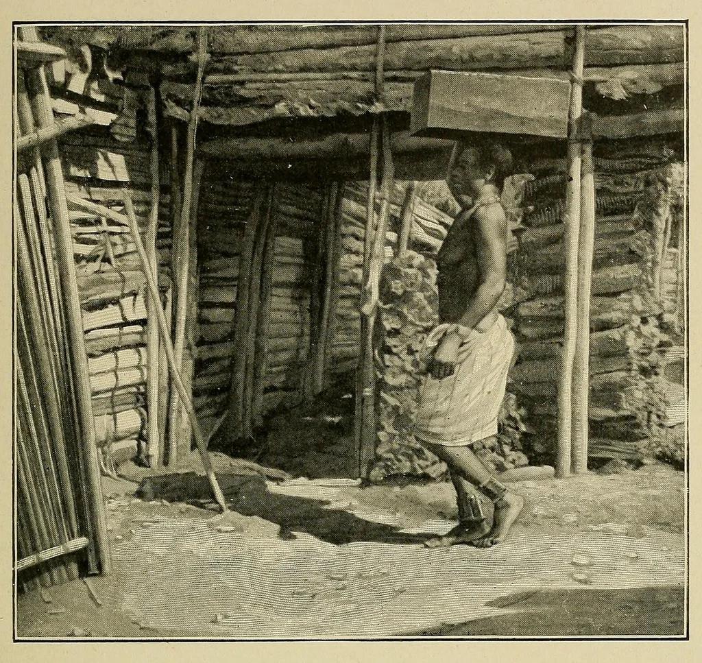 An illustration from Mission Hostains-d'Ollone, 1898-1900 : de la Côte d'Ivoire au Soudan et à la Guinée, 1901, leaf 55