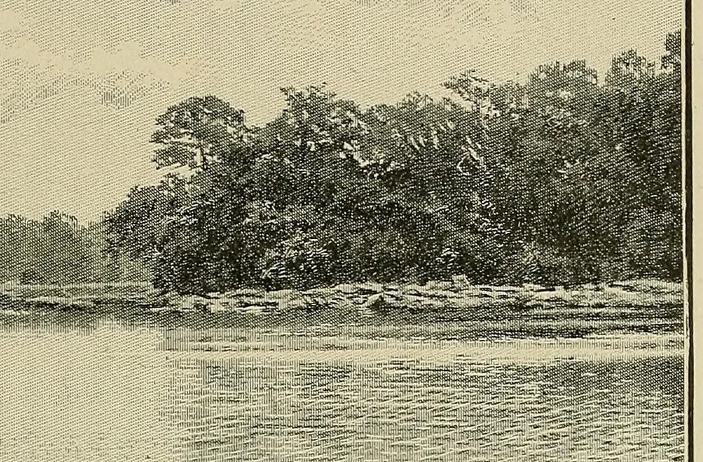 An illustration from Mission Hostains-d'Ollone, 1898-1900 : de la Côte d'Ivoire au Soudan et à la Guinée, 1901, leaf 73