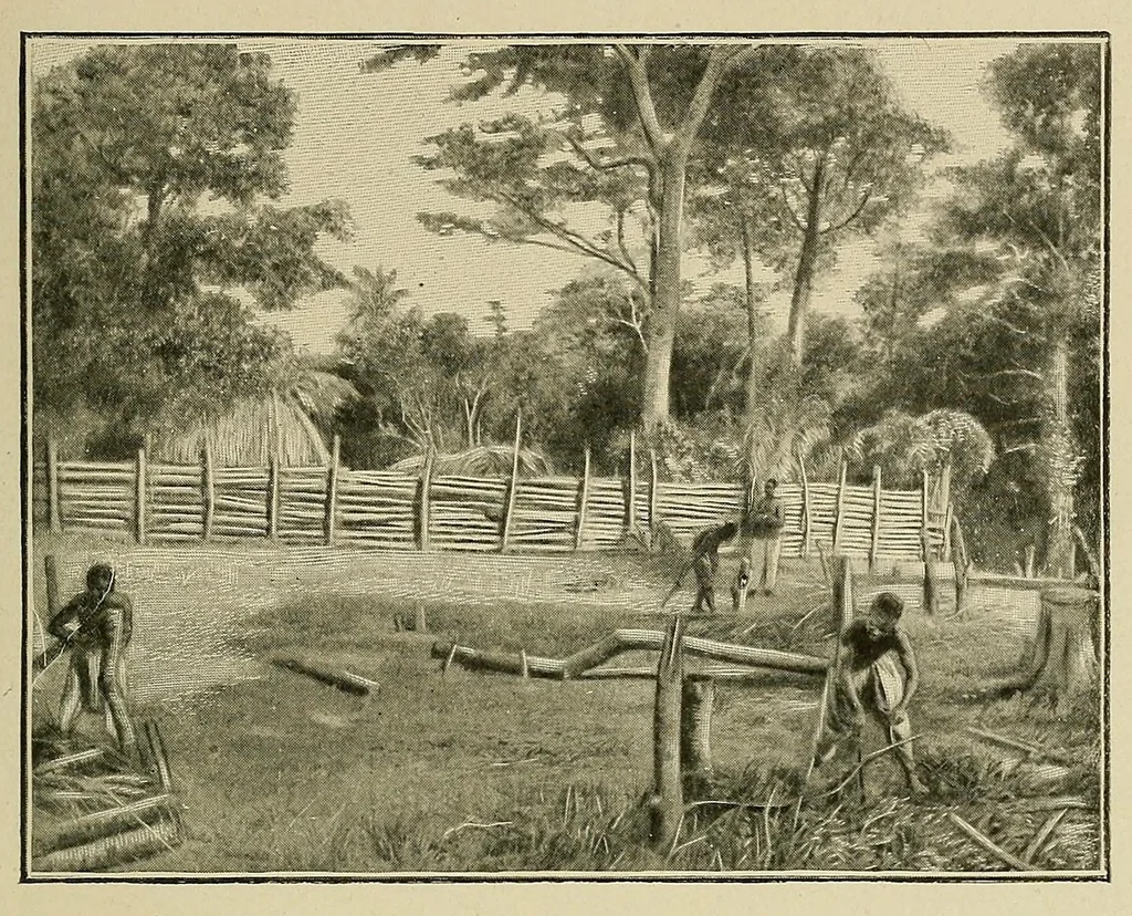An illustration from Mission Hostains-d'Ollone, 1898-1900 : de la Côte d'Ivoire au Soudan et à la Guinée, 1901, leaf 81